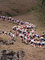Coniston Race May 10 023